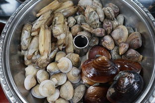 金山嘴漁村小海鮮,我首選這家 一擼根本停不下來(lái)