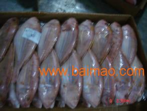 青島進(jìn)口海鮮清關(guān)代理公司 生產(chǎn)廠家、價(jià)格與海鮮進(jìn)口全解析