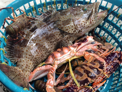 探海鮮萬山 | 海鮮美食節探鮮團招募，免費吃喝玩樂等你來！