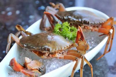 198元龍蝦海鮮拼盤免費送！品味鮮香，暢享海鮮火鍋盛宴