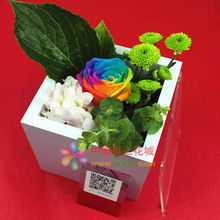 穆棱網上花店 彩虹玫瑰專送服務