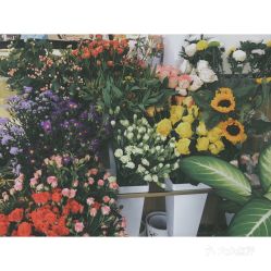 連江美食與家具指南